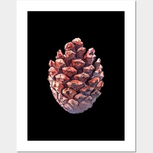 Pine cone - watercolor illustration Posters and Art